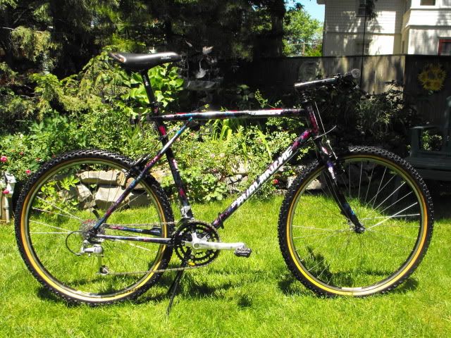 1991 gt avalanche